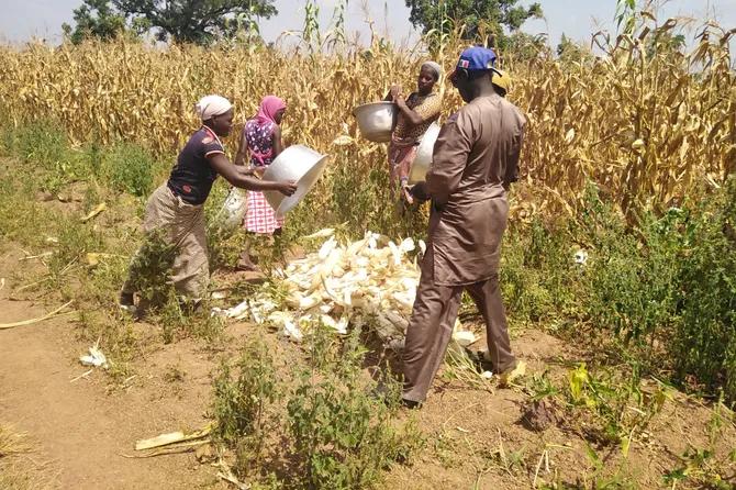 Agriculteurs dans un champ