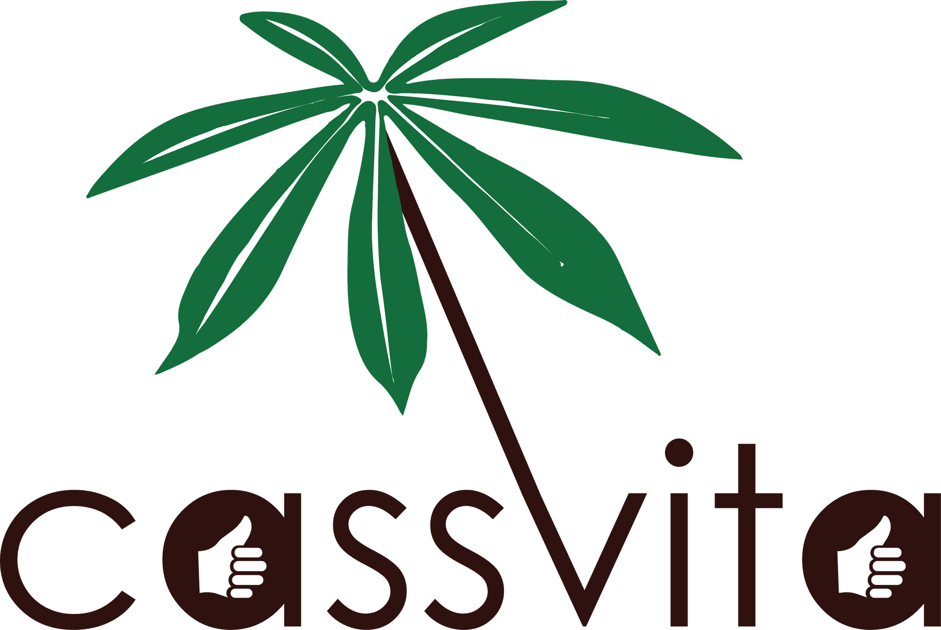 CassVita Inc.